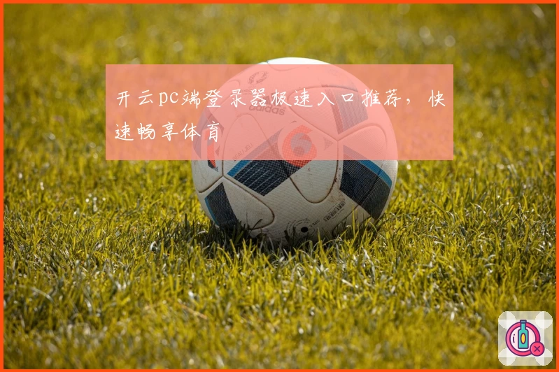开云pc端登录器极速入口推荐，快速畅享体育